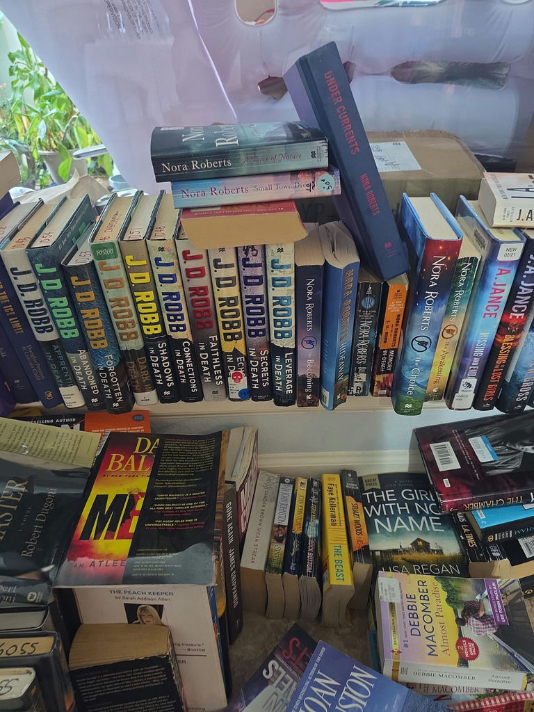 Assorted fiction books in stacks and boxes - image 7 of 10