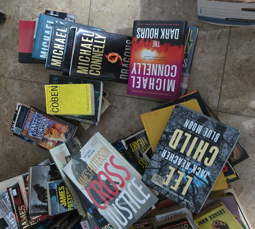 Collection of thriller novels and language reference books - image 8 of 8