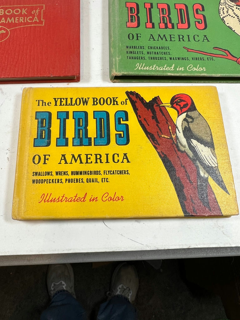 Antique 1931 Bird Field Guides: The Green, Red, and Yellow Books of America - image 4 of 6