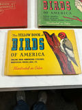 Antique 1931 Bird Field Guides: The Green, Red, and Yellow Books of America - thumbnail 4 of 6