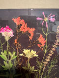 Framed botanical pressed-flower artwork 19" x 16" - thumbnail 3 of 3