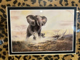 Framed elephant wildlife art print with leopard print mat 12 X 10 - thumbnail 3 of 4