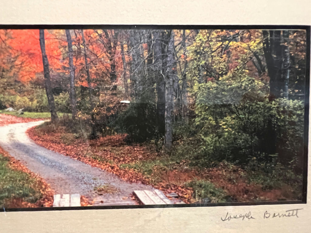 Autumn woodland path photograph by Joseph Barnett 13 X 6 - image 3 of 5
