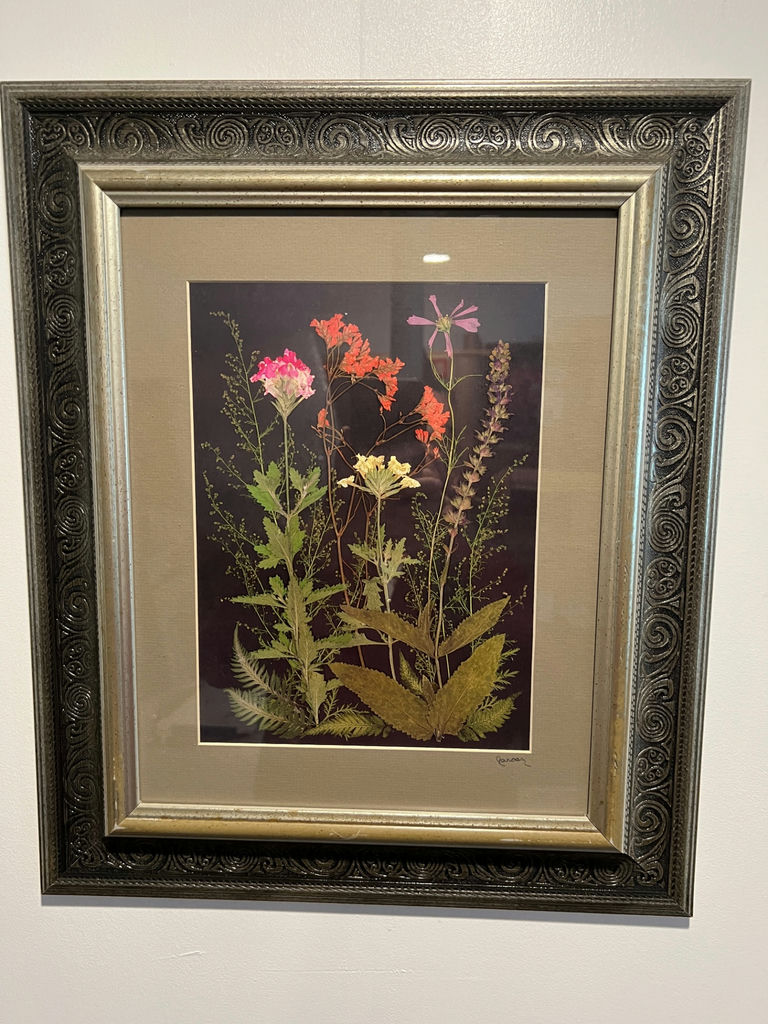 Framed botanical pressed-flower artwork 19" x 16" - image 1 of 3