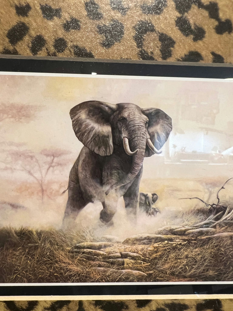 Framed elephant wildlife art print with leopard print mat 12 X 10 - image 2 of 4