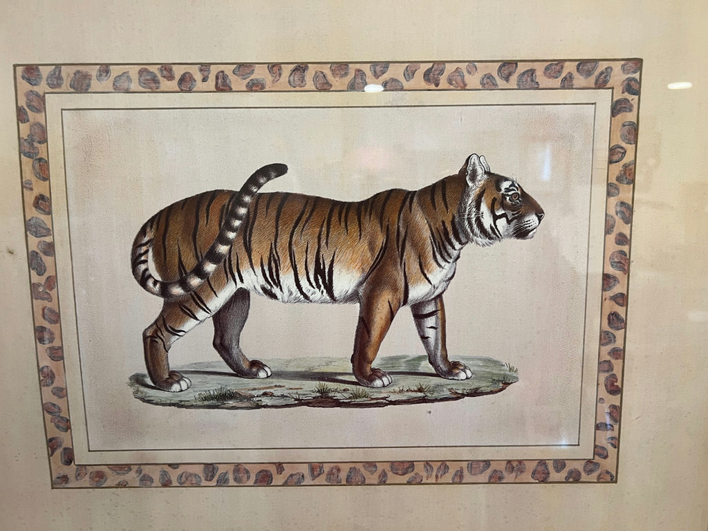 Framed tiger print 23" x 17" - image 2 of 3
