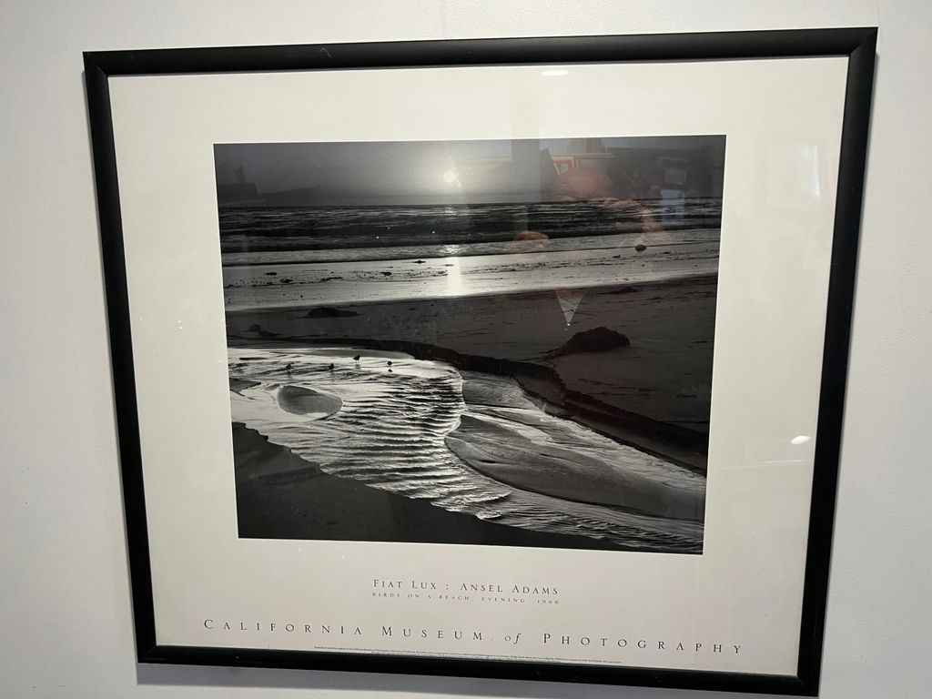 Framed Ansel Adams photograph: Fiat Lux – Birds on a Beach, Evening, 1966 27" X 20" - image 1 of 5