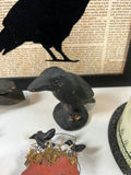 Halloween Crow and Pumpkin Decor Set - thumbnail 4 of 8