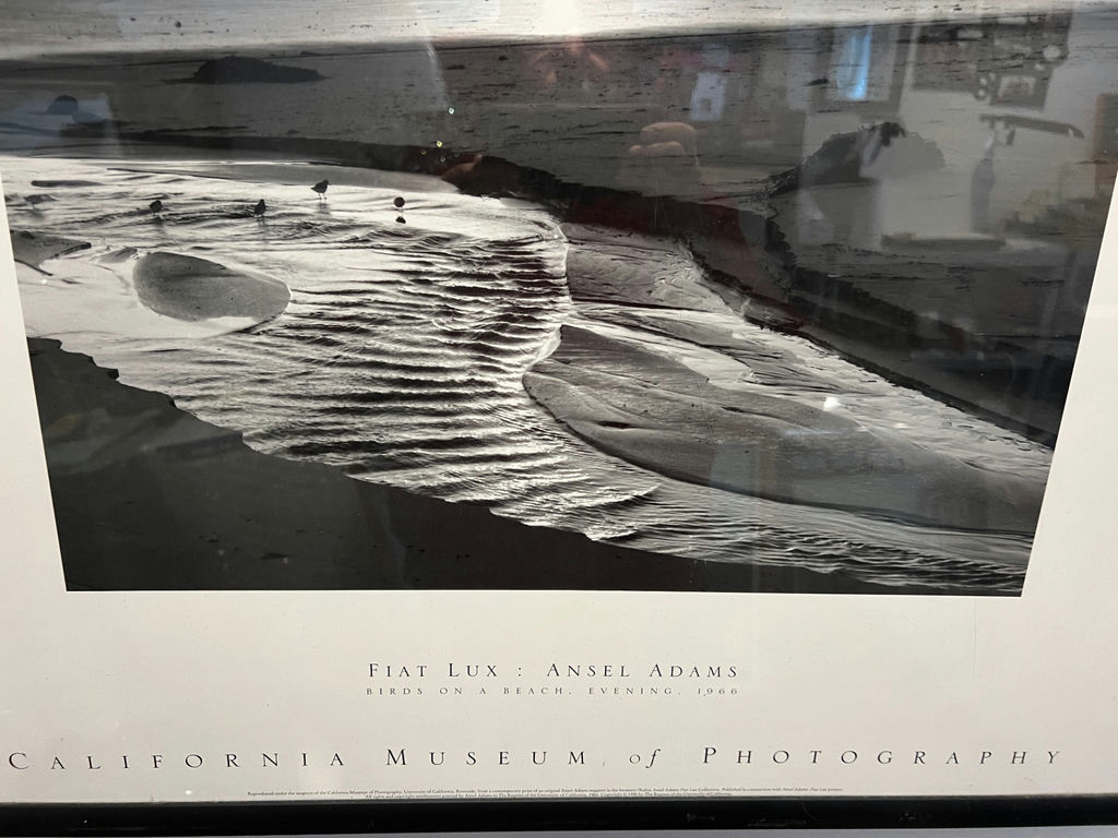 Framed Ansel Adams photograph: Fiat Lux – Birds on a Beach, Evening, 1966 27" X 20" - image 3 of 5