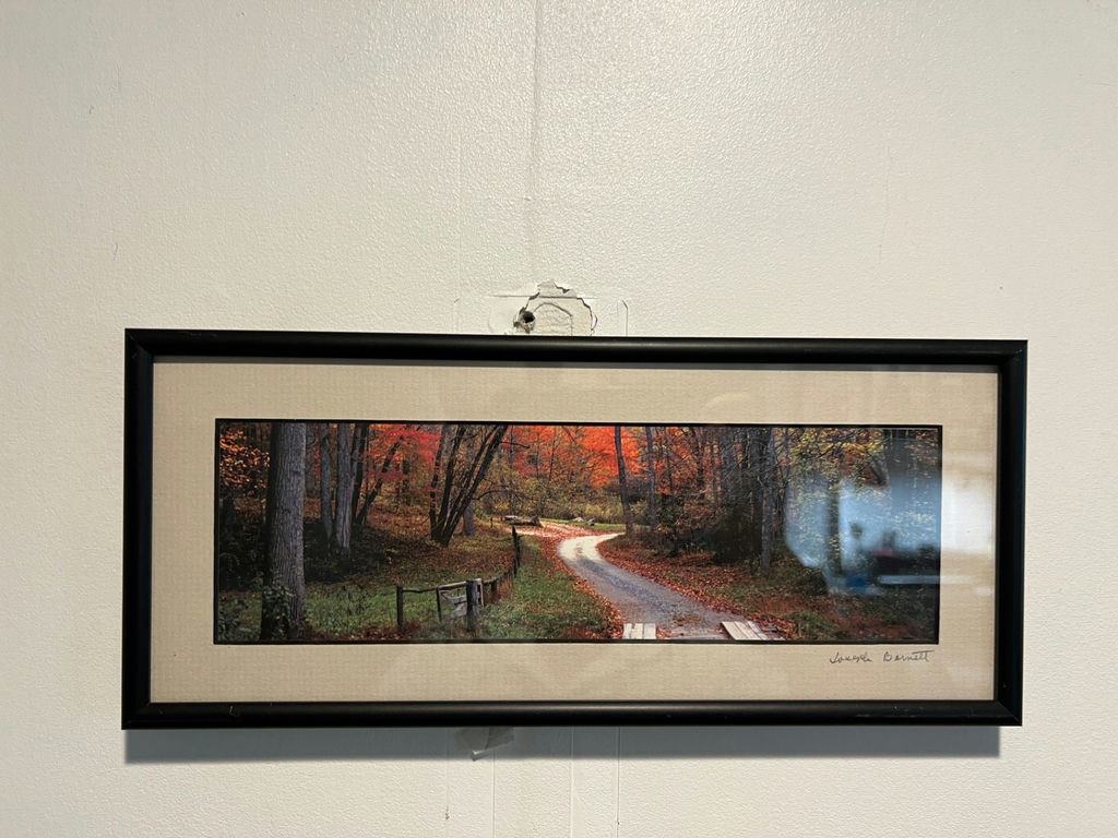 Autumn woodland path photograph by Joseph Barnett 13 X 6 - image 1 of 5