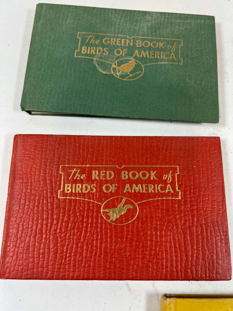 Antique 1931 Bird Field Guides: The Green, Red, and Yellow Books of America - image 2 of 6