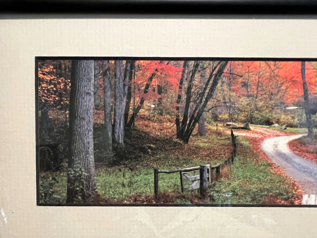 Autumn woodland path photograph by Joseph Barnett 13 X 6 - image 4 of 5