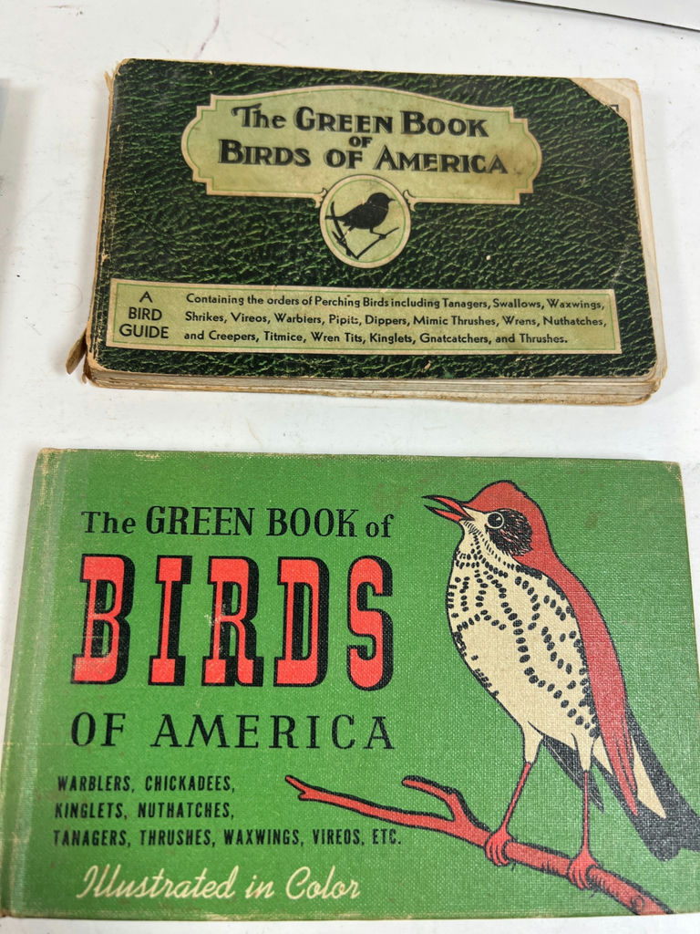 Antique 1931 Bird Field Guides: The Green, Red, and Yellow Books of America - image 3 of 6