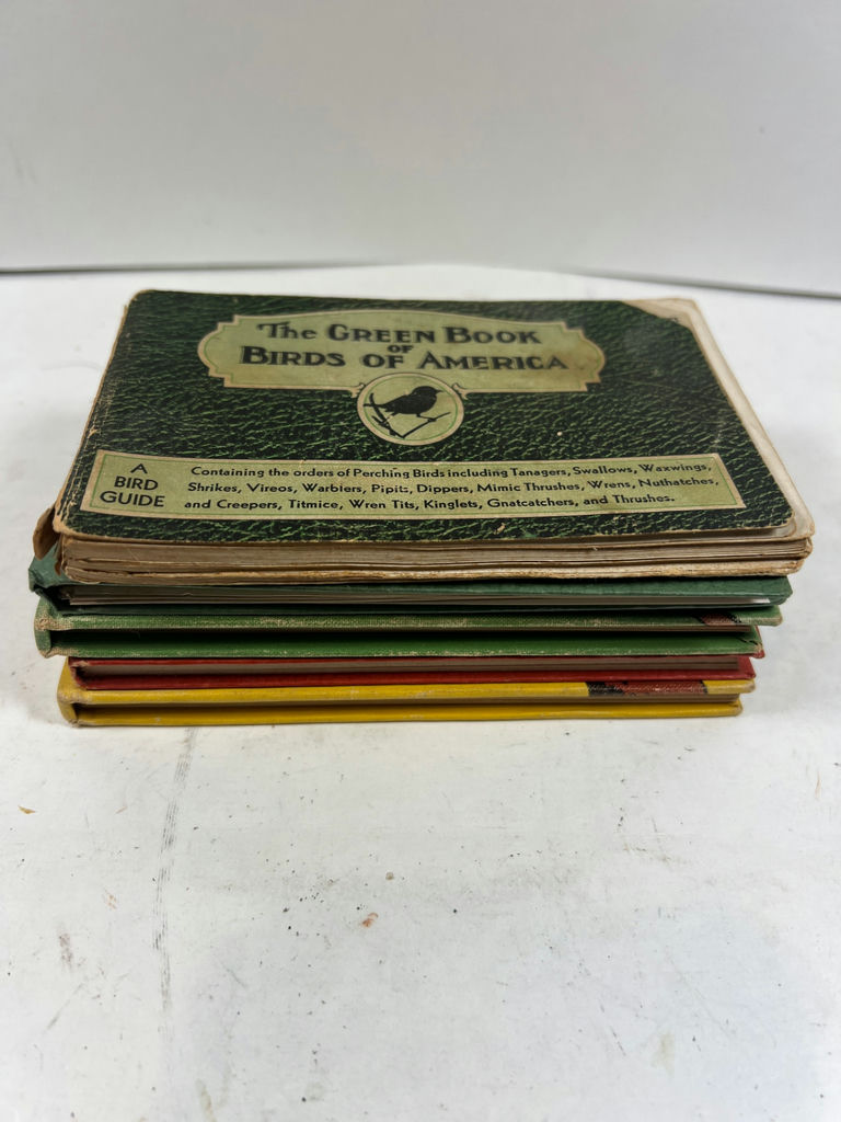 Antique 1931 Bird Field Guides: The Green, Red, and Yellow Books of America - image 6 of 6