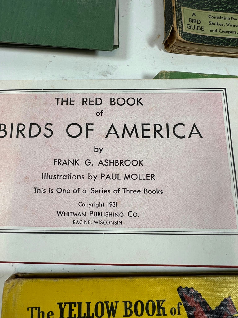 Antique 1931 Bird Field Guides: The Green, Red, and Yellow Books of America - image 5 of 6