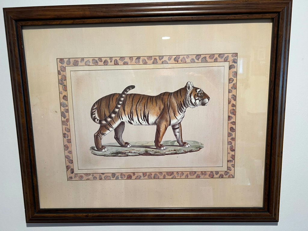 Framed tiger print 23" x 17" - image 1 of 3