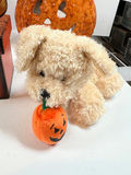 Halloween decor figures and pumpkins collection - thumbnail 6 of 9