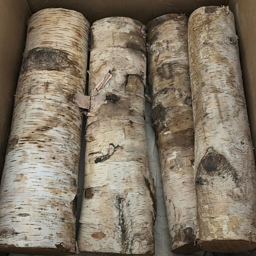 Birch Wood Logs and Pineapple/Leaf Cushions - image 1 of 3