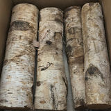 Birch Wood Logs and Pineapple/Leaf Cushions - thumbnail 1 of 3