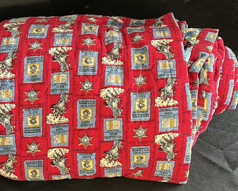 Longhorn bull head decorative pillow set with matching cushions and a red quilt/throw, plus tray and tabletop decor - image 4 of 4