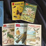 Vintage reference books and nature field guides - thumbnail 8 of 8