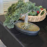 Decorative Christmas Wreath, Bonsai Tree, Brown Berry Branch, and Monstera Plant - thumbnail 2 of 7
