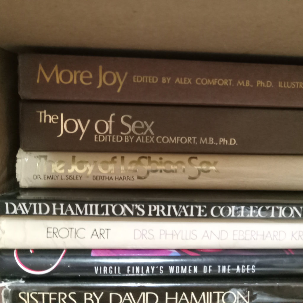 Erotic Books / Joy of Sex, More Sex, & More - image 2 of 4