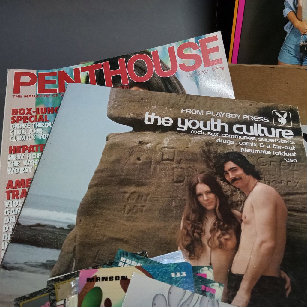 Vintage Men's (ahem) Magazines - image 4 of 10