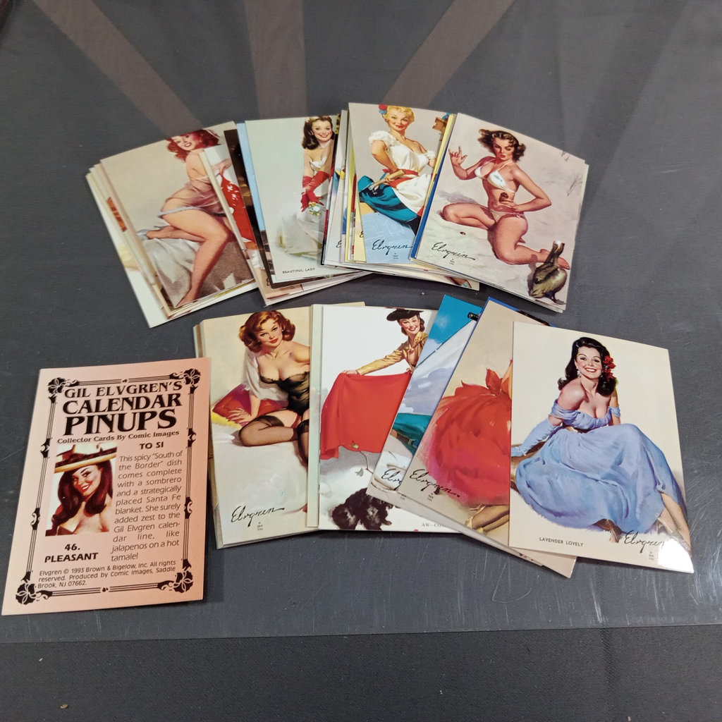 Gil Elvgren's Pin-Up Girls - image 16 of 17