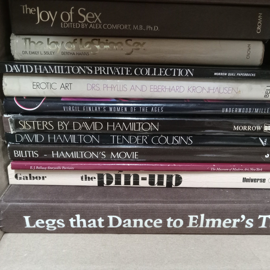 Erotic Books / Joy of Sex, More Sex, & More - image 3 of 4