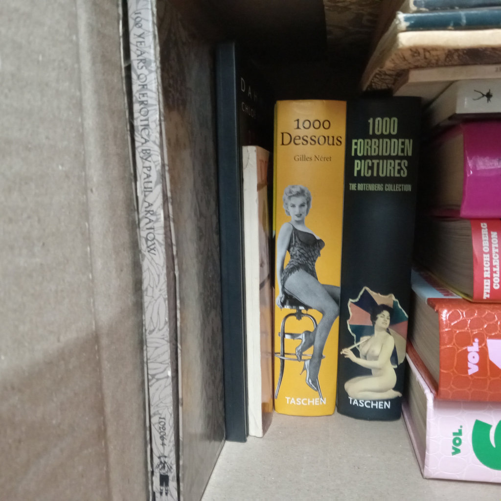 Erotic Books & Magazines - image 3 of 5