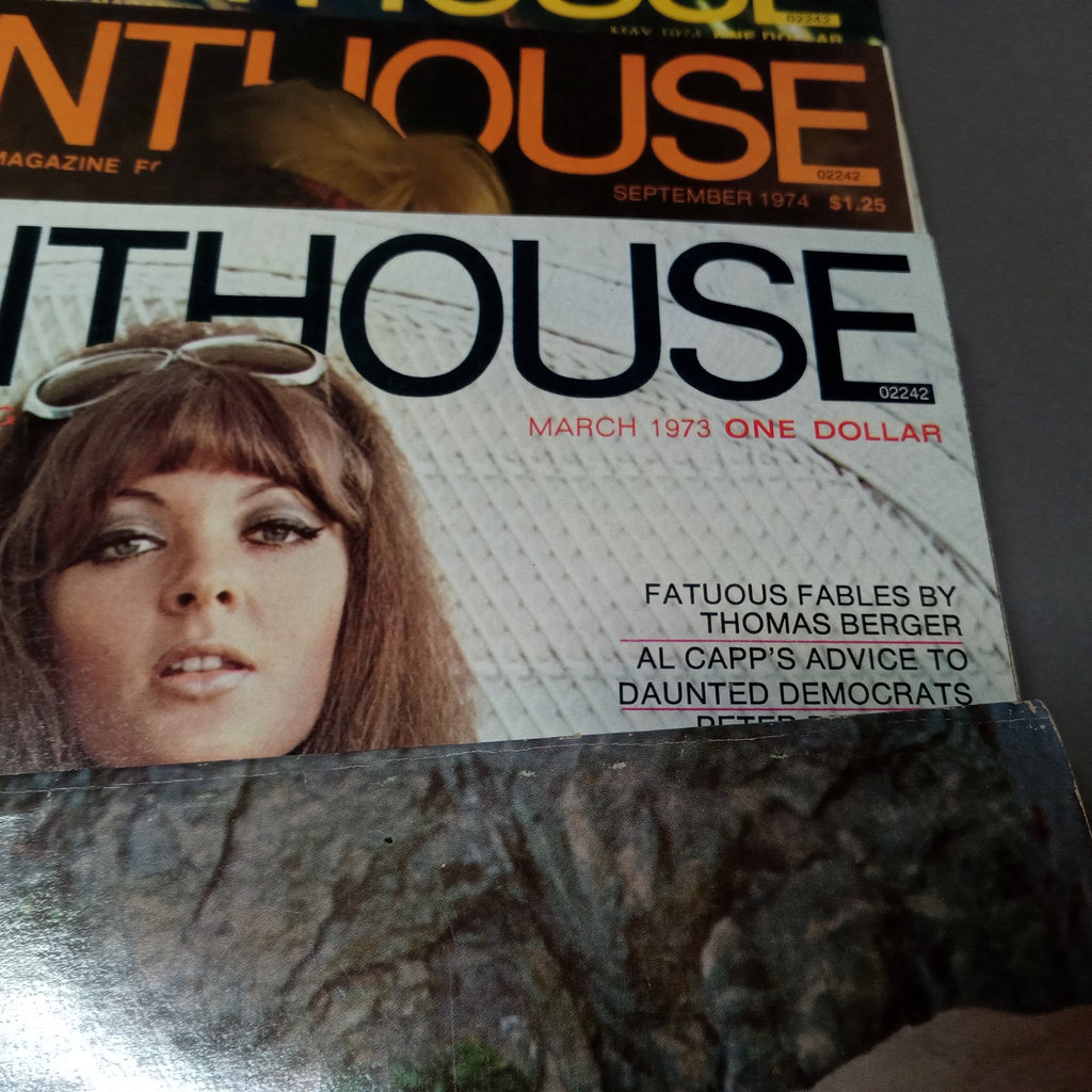 Vintage Men's (ahem) Magazines - image 10 of 10