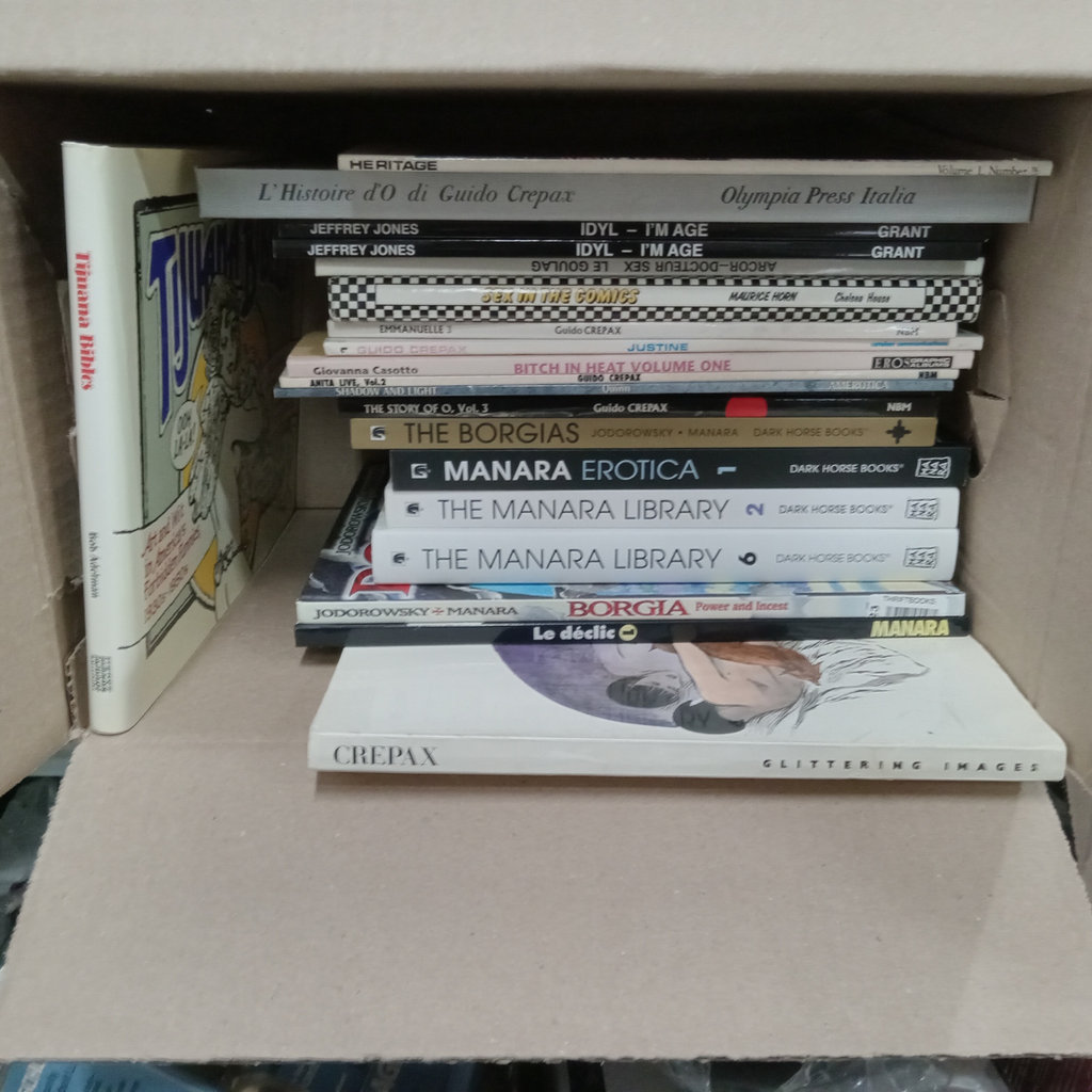 Erotic Comics & Graphic Novels - image 1 of 4