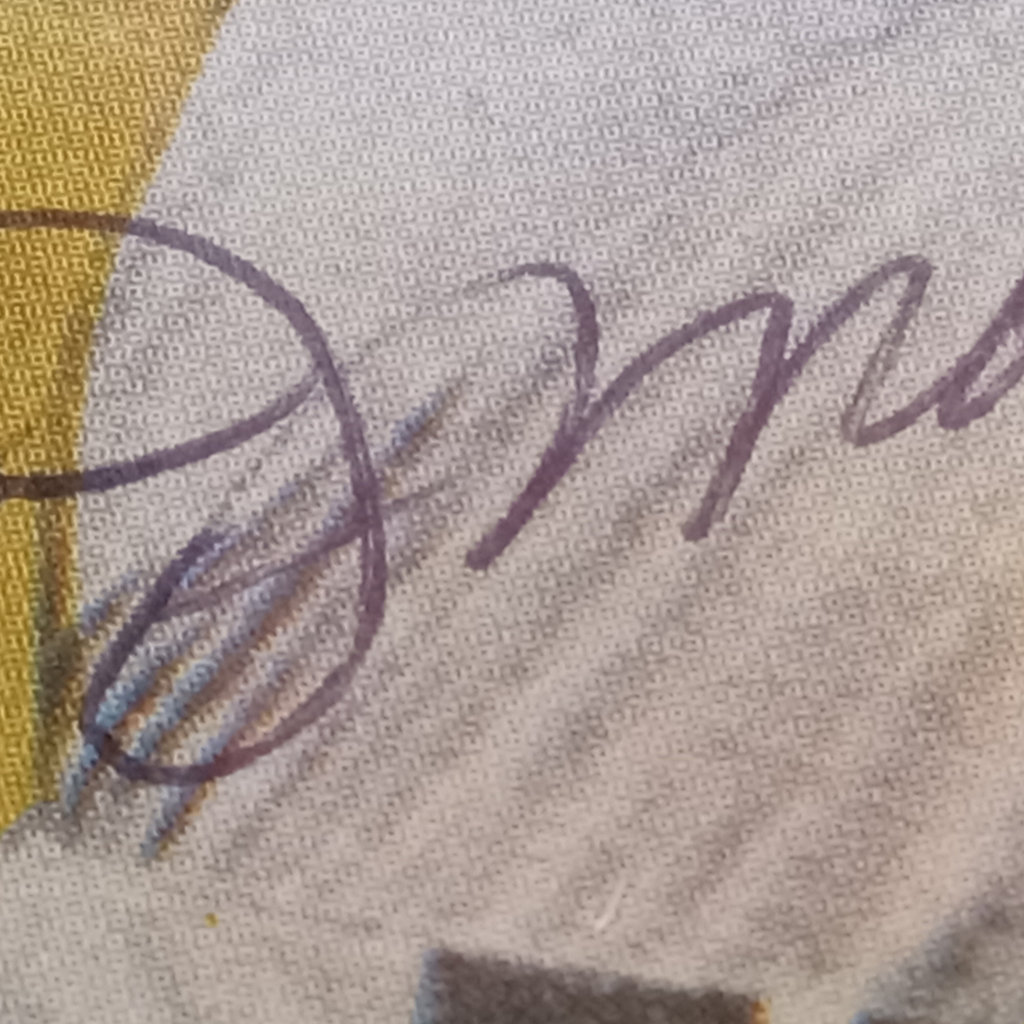Joe DiMaggio Books & Cards - image 3 of 12