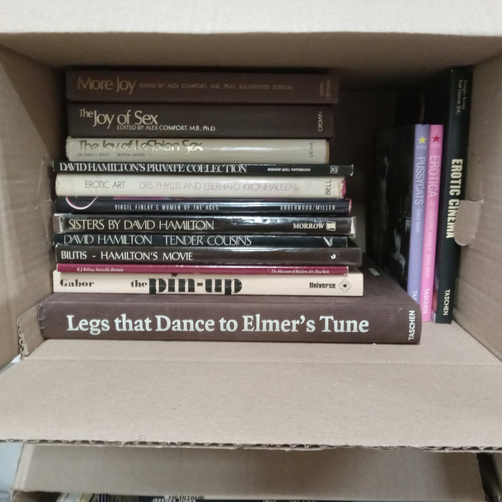 Erotic Books / Joy of Sex, More Sex, & More - image 1 of 4