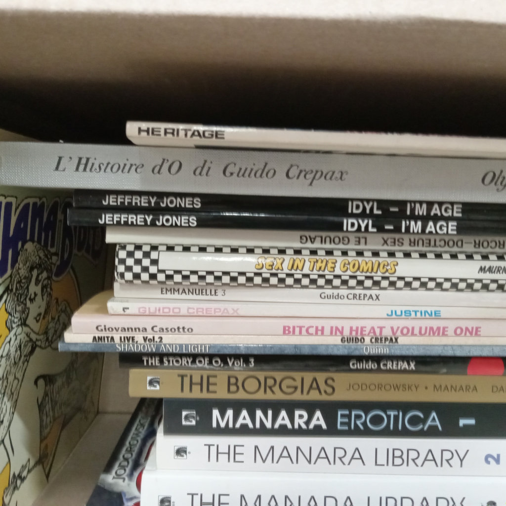 Erotic Comics & Graphic Novels - image 2 of 4