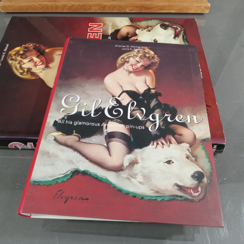 Gil Elvgren's Pin-Up Girls - image 14 of 17