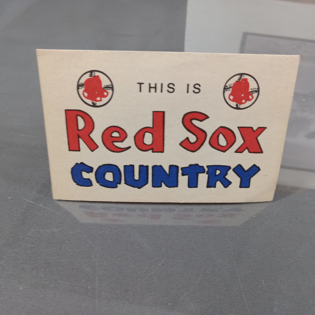 Red Sox Nation - image 15 of 32