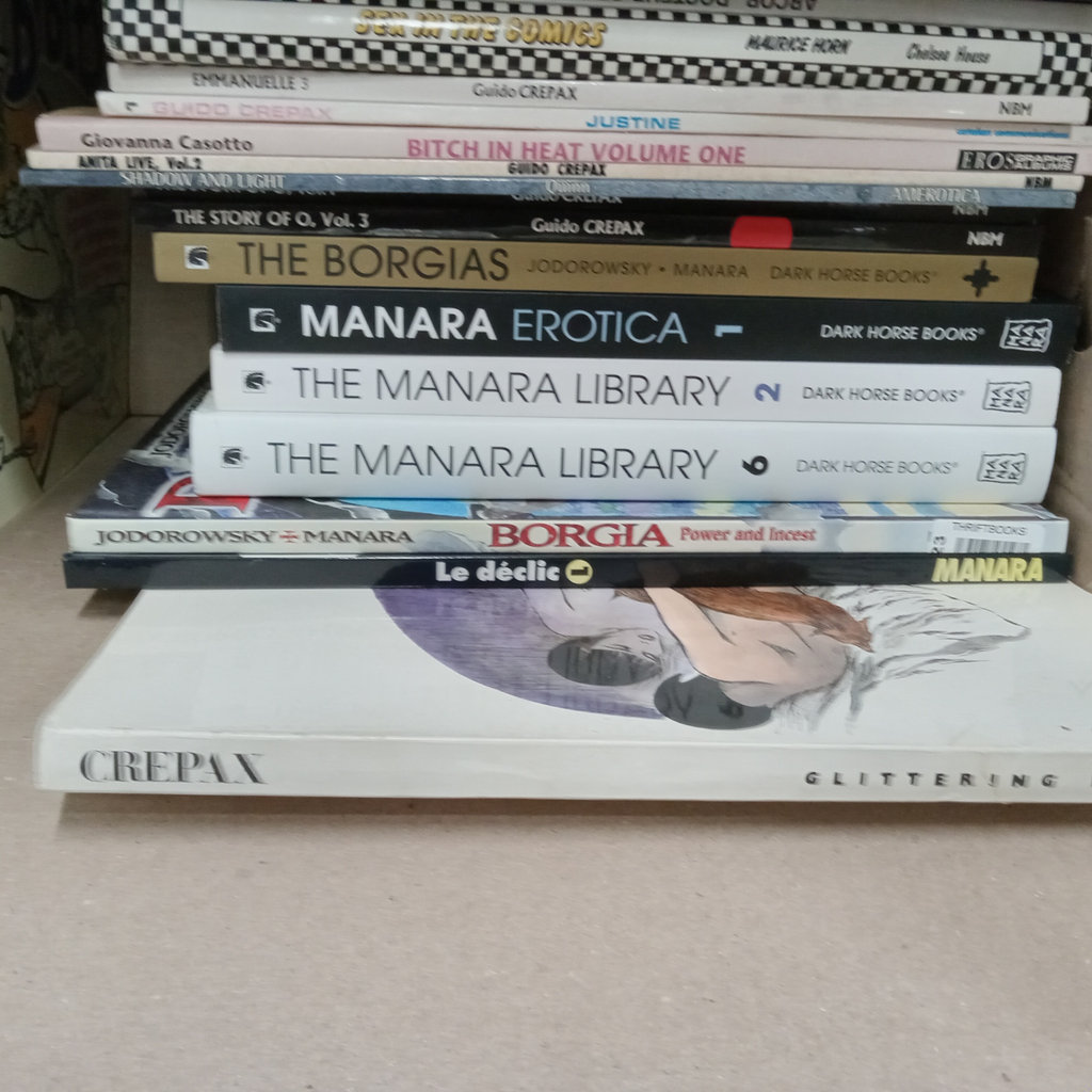 Erotic Comics & Graphic Novels - image 3 of 4