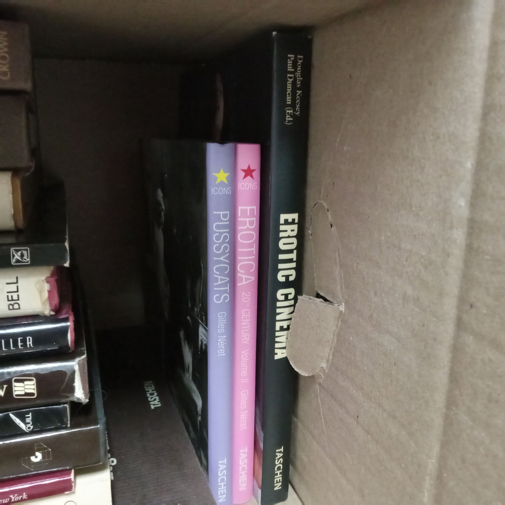 Erotic Books / Joy of Sex, More Sex, & More - image 4 of 4