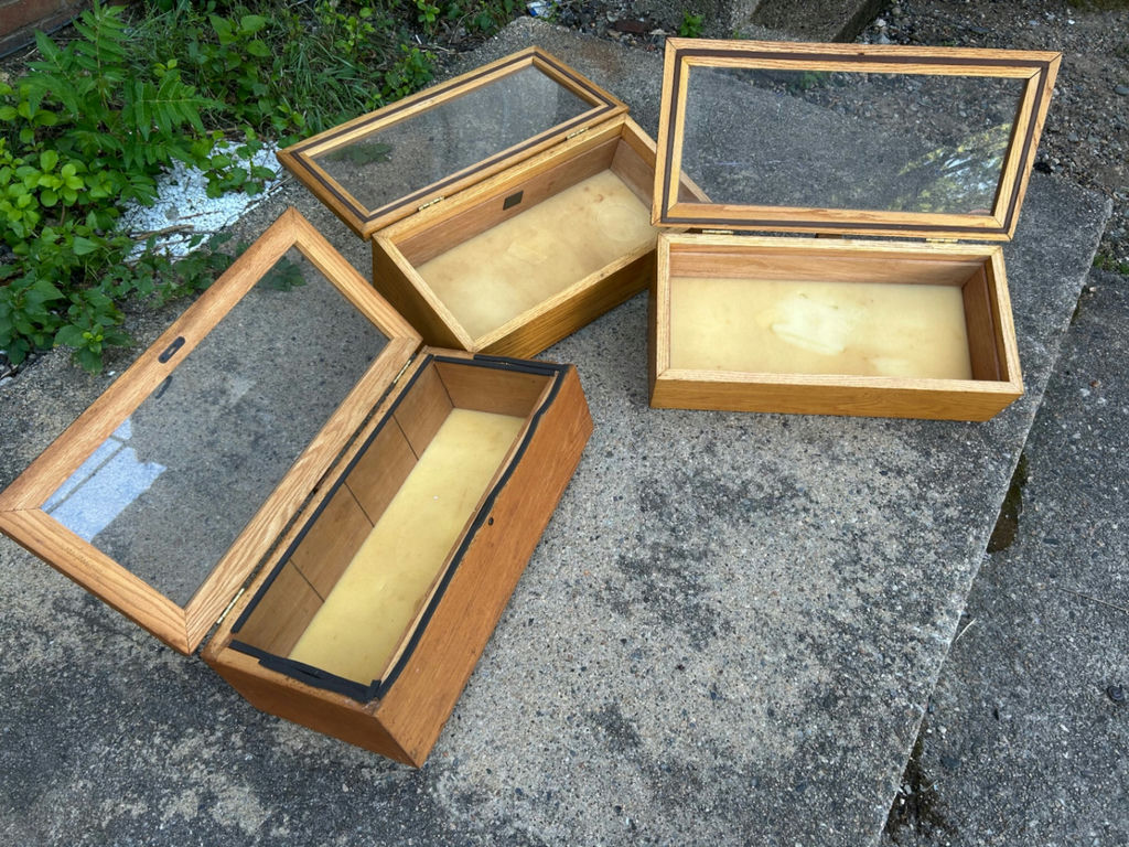 Display Cases - image 5 of 6