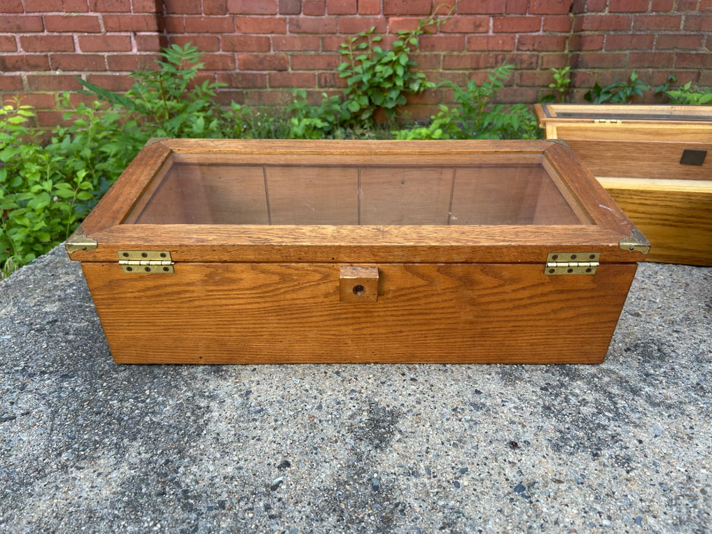 Display Cases - image 4 of 6