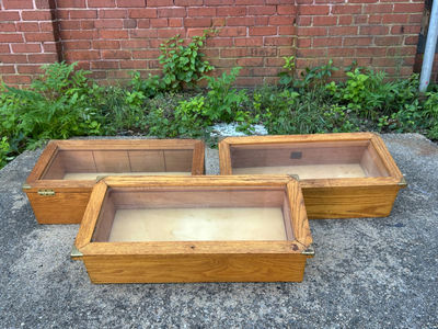 Display Cases - Image 1 of 6