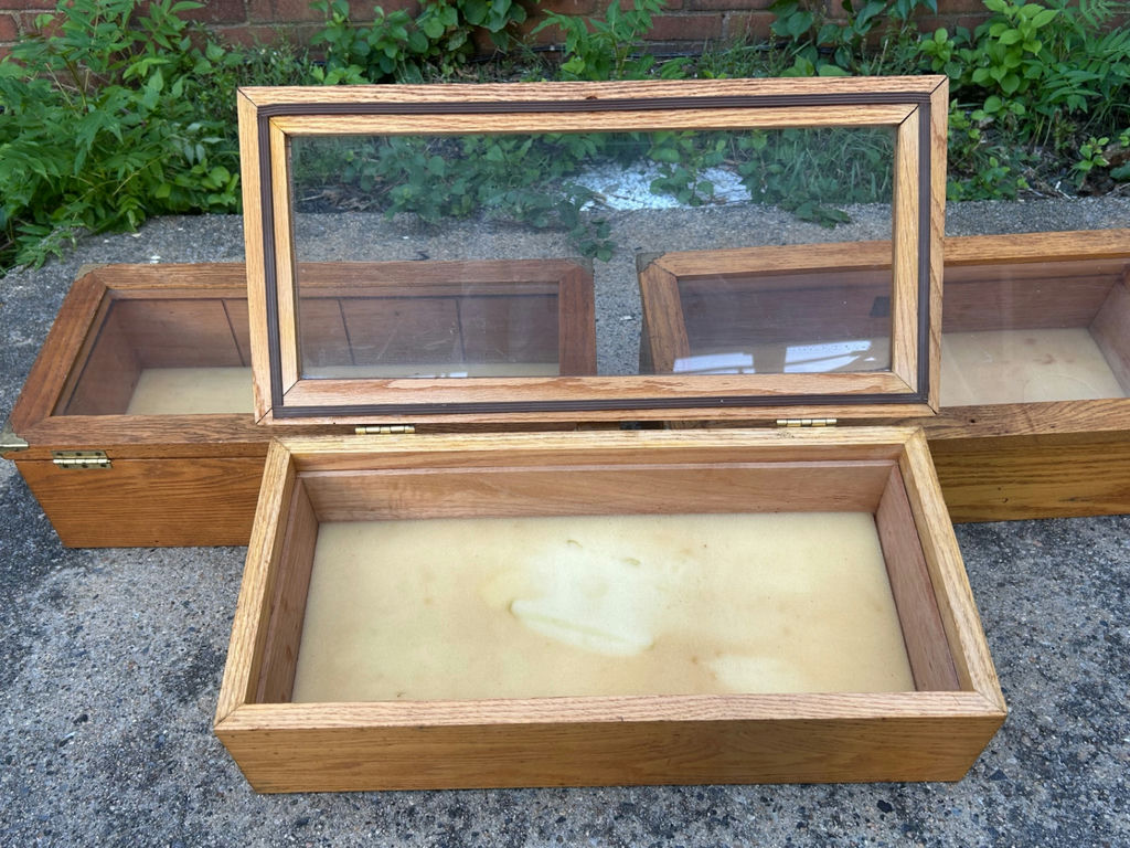 Display Cases - image 6 of 6