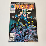 Marvel Wolverine #1 - thumbnail 1 of 4