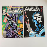 Punisher #1,75 - thumbnail 1 of 4