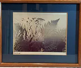 Signed Art Prints by Mike Smith and Elton Bennet - thumbnail 6 of 9