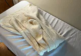 Foam Wedge Pillow, Waffle Weave Cotton Panels, and Cat Print Towel - thumbnail 7 of 8