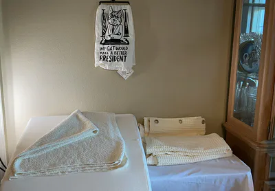 Foam Wedge Pillow, Waffle Weave Cotton Panels, and Cat Print Towel - Image 1 of 8