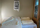 Foam Wedge Pillow, Waffle Weave Cotton Panels, and Cat Print Towel - thumbnail 1 of 8